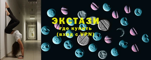 гидра Каменка