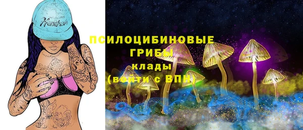 стаф Армянск