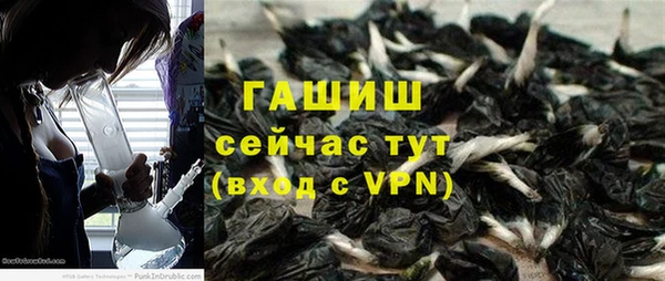 трава Аркадак