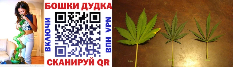 Каннабис гибрид Артёмовск